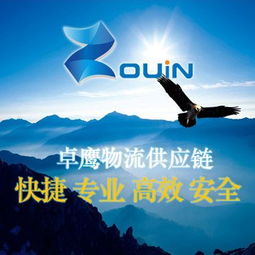 寧波港進口意大利紅酒 專業報關報檢與上海食品進口清關服務詳解